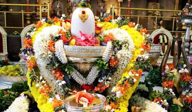 rudrabhishekam pooja benefits